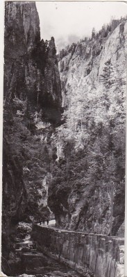 bnk cp Cheile Bicazului - Vedere - necirculata foto