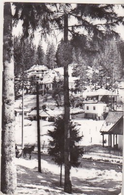 bnk cp Borsec - Vedere din statiune - circulata foto