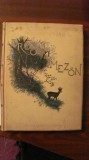 PVM Barsony ISTVAN &quot;Camp de Padure / Erdon Mezon&quot; Budapesta 1904 /limba maghiara