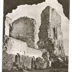 @ carte postala (ilustrata)-TARGU NEAMT-Ruinele cetatii Neamtului