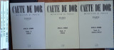 Caete de dor ; Metafizica si poezie , Paris , 1951 - 54 , Jurnalul liter. , 2003