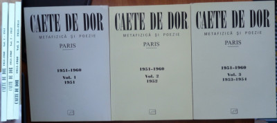 Caete de dor ; Metafizica si poezie , Paris , 1951 - 54 , Jurnalul liter. , 2003 foto
