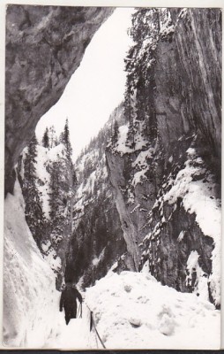 bnk cp Muntii Bucegi - Cheile Orzei - circulata foto