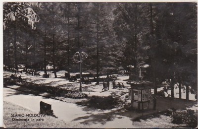 bnk cp Slanic Moldova - Dimineata in parc - circulata foto