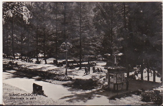 bnk cp Slanic Moldova - Dimineata in parc - circulata