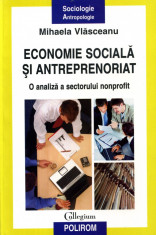 Mihaela Vlasceanu - Economie sociala si antreprenoriat - 605461 foto