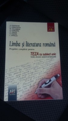 LIMBA SI LITERATURA ROMANA TEZA CU SUBIECT UNIC CLASA A VIII A-IONITA foto