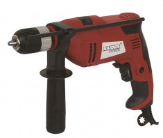 010129-Masina de gaurit cu percutie 13 mm 550 W Raider Power Tools RDP-ID27 foto