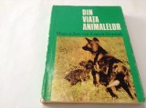 HUGO si JANE VAN LAWICK GOODALL - DIN VIATA ANIMALELOR,RF10/4