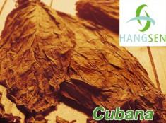 Hangsen E-Lichid 10 ml VG - Cubana foto