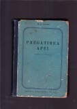 PREGATIREA APEI