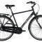 Bicicleta Devron Urbio C1.8 PB Cod Produs: 216CM185854