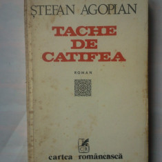 (C326) STEFAN AGOPIAN - TACHE DE CATIFEA