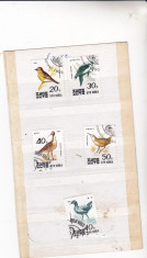 timbre st. din KOREA PASARI foto