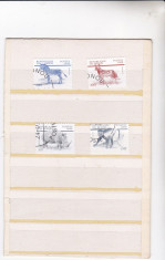 timbre st. din BENIN animal foto