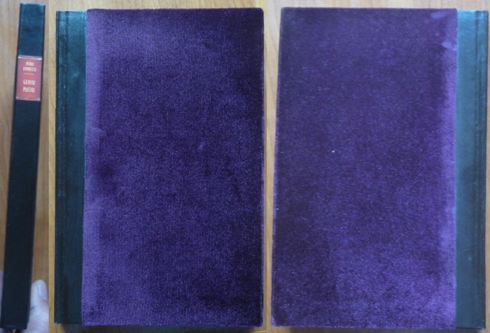 Mihai Eminescu, Geniu pustiu; roman postum, Editura Minerva, 1906, editia 2