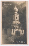1414 - CICLOVA MONTANA, Caras Severin - old postcard, Real PHOTO - unused
