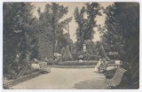 432 - TG-JIU, Gorj, Public Garden - old postcard - used - 1929, Circulata, Printata