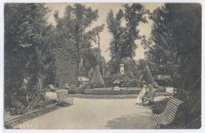 432 - TG-JIU, Gorj, Public Garden - old postcard - used - 1929 foto