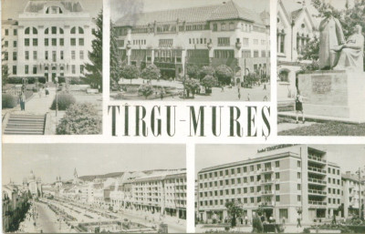 TARGU MURES foto