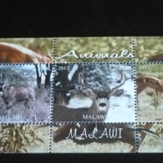 MALAWI 2012 – ANIMALE SALBATICE, CERBI, bloc MNH, T7