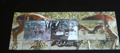 MALAWI 2012 &amp;ndash; ANIMALE SALBATICE, CERBI, bloc MNH, T7 foto