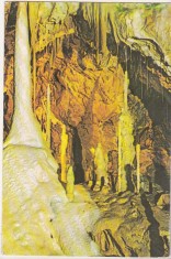 bnk cp Pestera Ursilor - Chiscau - Bihor - necirculata