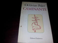 OCTAVIAN PALER - CAMINANTE {1980}/TD foto