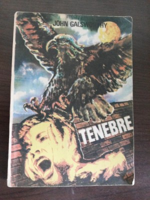 TENEBRE - John Galsworthy - editura Tenzi, 1990, 284 p. foto