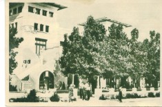 VASILE ROAITA foto