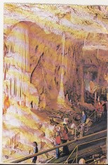bnk cp Pestera Ursilor - Chiscau - Bihor - necirculata foto