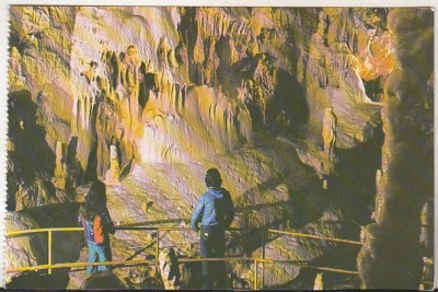 bnk cp Pestera Ursilor - Chiscau - Bihor - necirculata foto