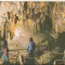 bnk cp Pestera Ursilor - Chiscau - Bihor - necirculata