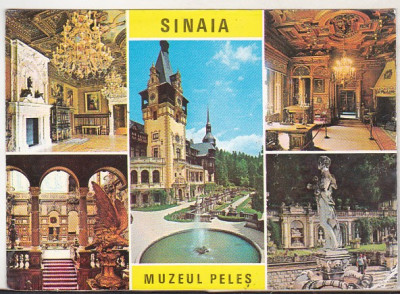 bnk cp Sinaia - Muzeul Peles - necirculata foto