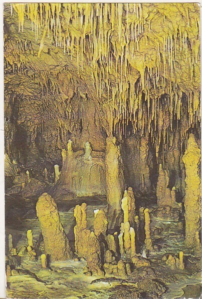 bnk cp Pestera Ursilor - Chiscau - Bihor - necirculata