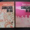 CAVALCADA IN IAD - 2 Volume - Vintila Corbul - Editura Cartea Romaneasca, 1982, 364+381 p.