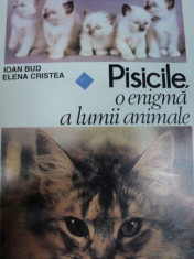 PISICILE O ENIGMA A LUMII ANIMALE IOAN BUD SI ELENA CRISTEA, BUC. 1995 foto