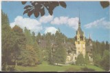 Bnk cp Sinaia - Muzeul Peles - necirculata, Printata