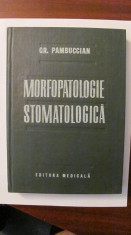 PVM - Gr. PAMBUCCIAN &amp;quot;Morfopatologie Stomatologica&amp;quot; foto