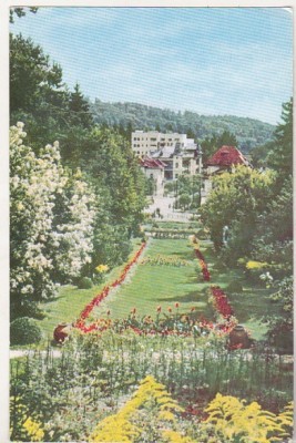 bnk cp Govora - Vedere din parc - necirculata foto