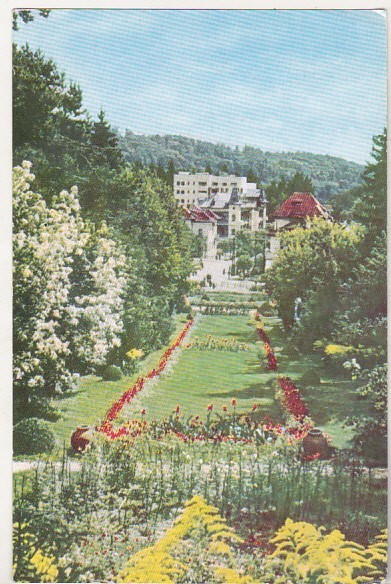 bnk cp Govora - Vedere din parc - necirculata