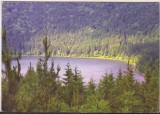 bnk cp Lacul Sf Ana - Vedere - necirculata