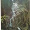bnk cp Borsa - Cascada cailor - necirculata
