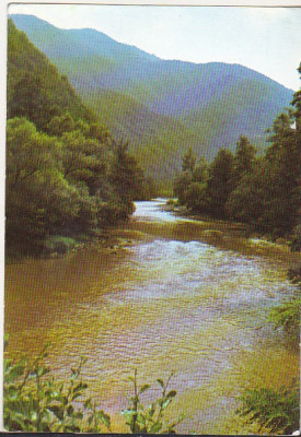 bnk cp Muntii Apuseni - Valea Ariesului - necirculata foto