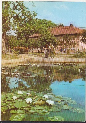 bnk cp Baile Felix - Vedere - necirculata foto