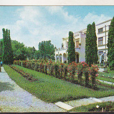 bnk cp Cluj Napoca - Gradina botanica - necirculata