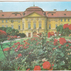 bnk cp Oradea - Muzeul Tarii Crisurilor - necirculata