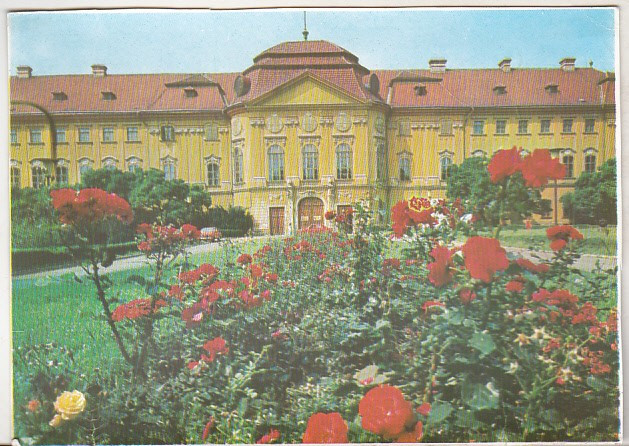 bnk cp Oradea - Muzeul Tarii Crisurilor - necirculata