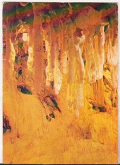 bnk cp Chiscau (Jud Bihor ) - Pestera Ursilor - necirculata