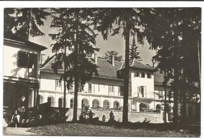 @carte postala(ilustrata)-HARGHITA-Borsec- Casa de odihna foto